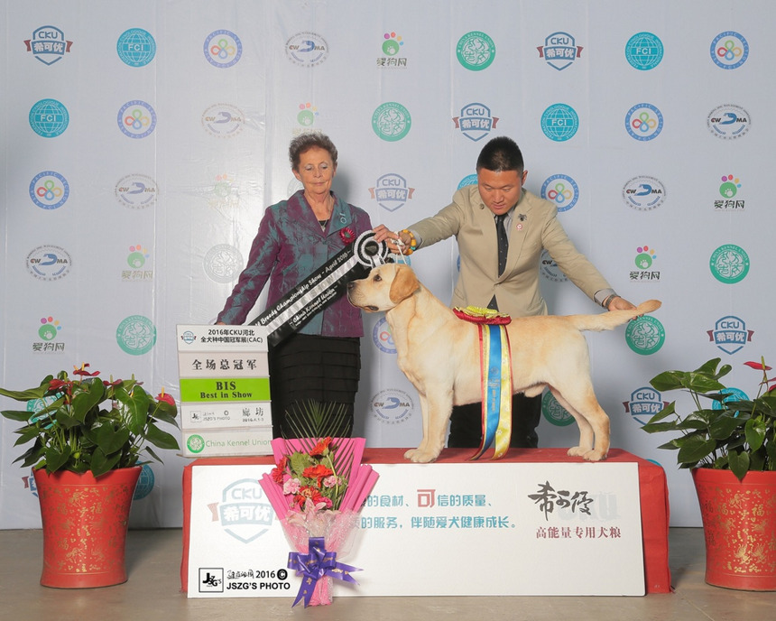 1180940f7f0468c67e9da1e5c5ec6ced