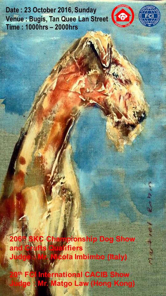 14089174_10154418710705409_4073714422075636775_n