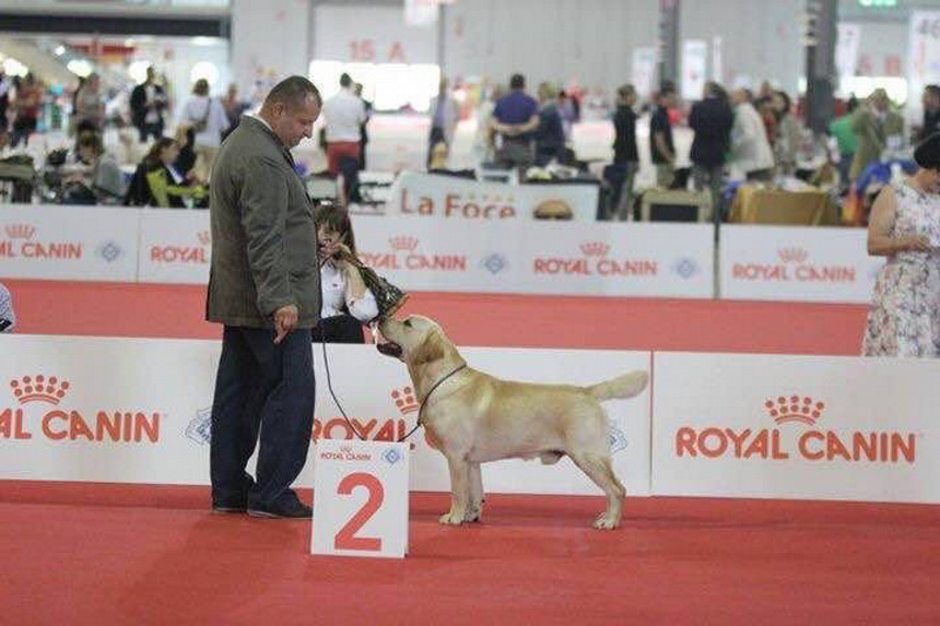 3e43a788f143b0c58301c7858686a21d