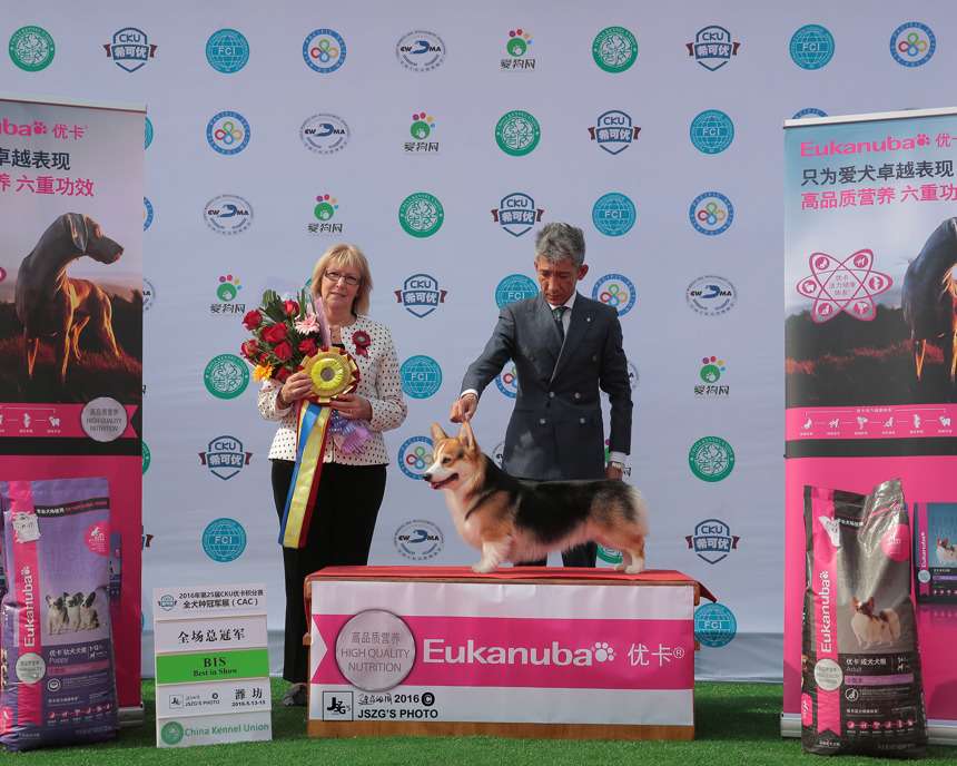 js025386%ef%bc%8d2000