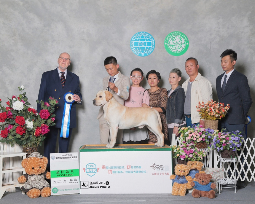 e85e5fea15344c48500a47fb3260194a