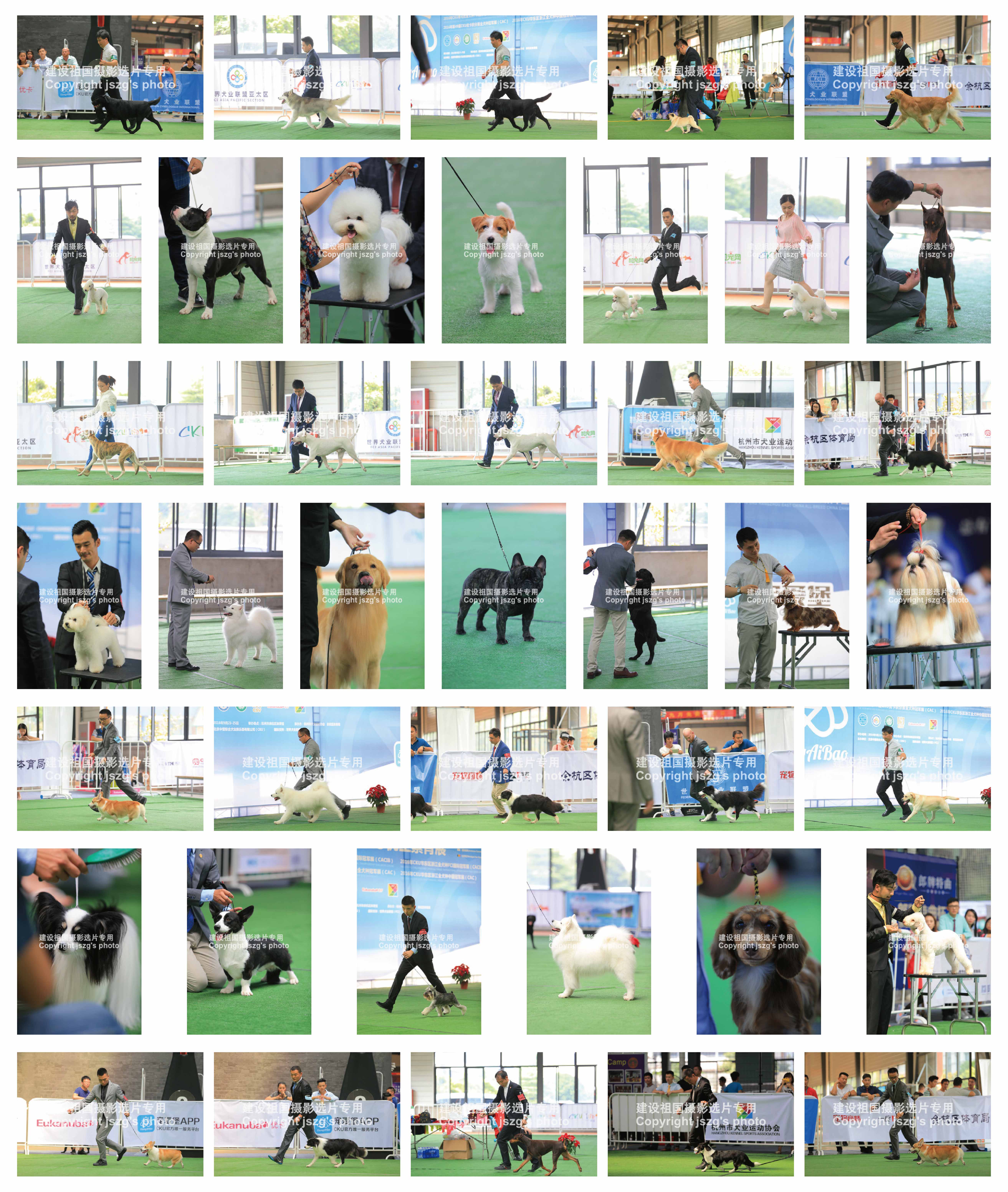 %e5%ae%8c%e8%b3%bd-01