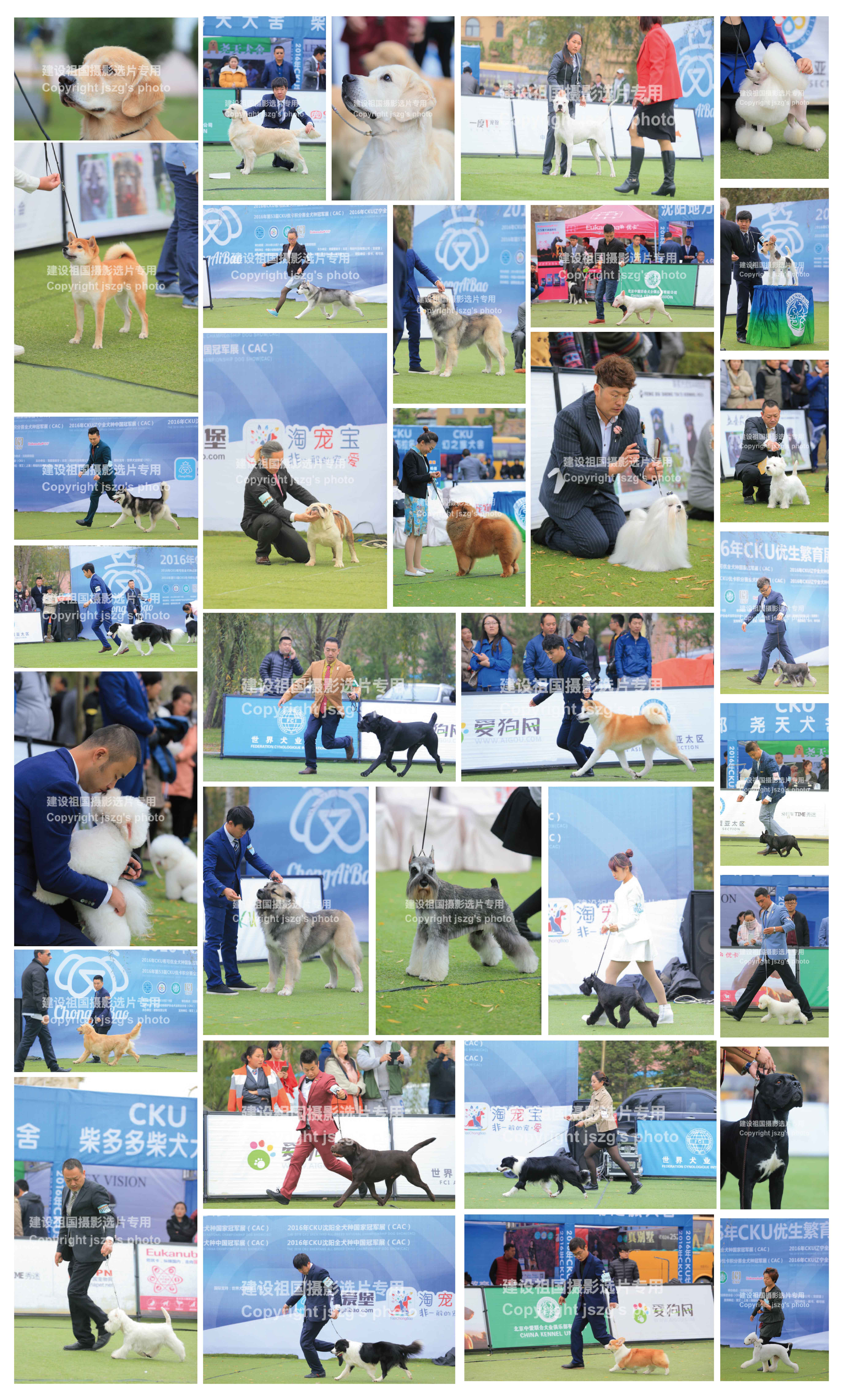 %e5%ae%8c%e8%b3%bd-01