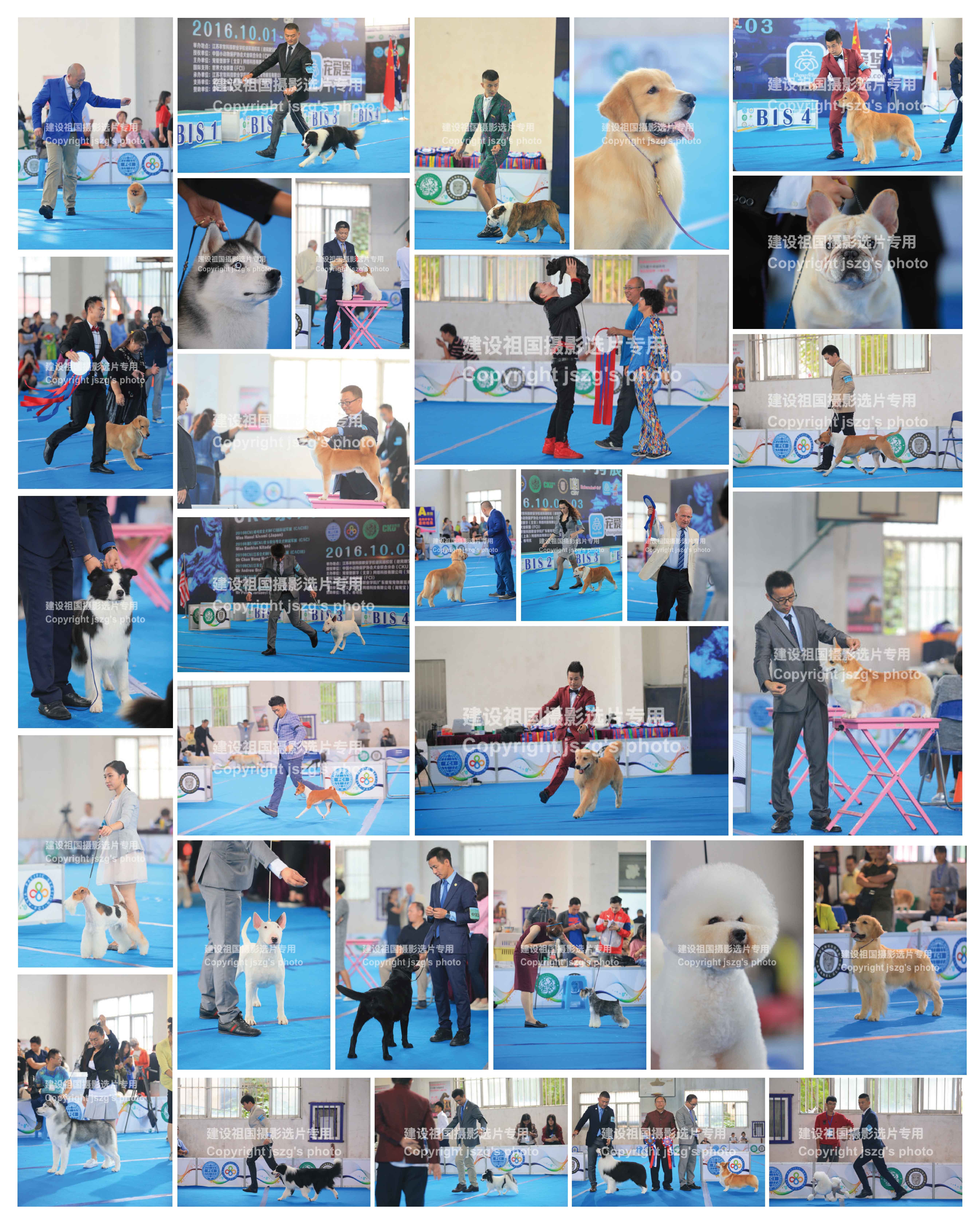 %e5%ae%8c%e8%b3%bd-01