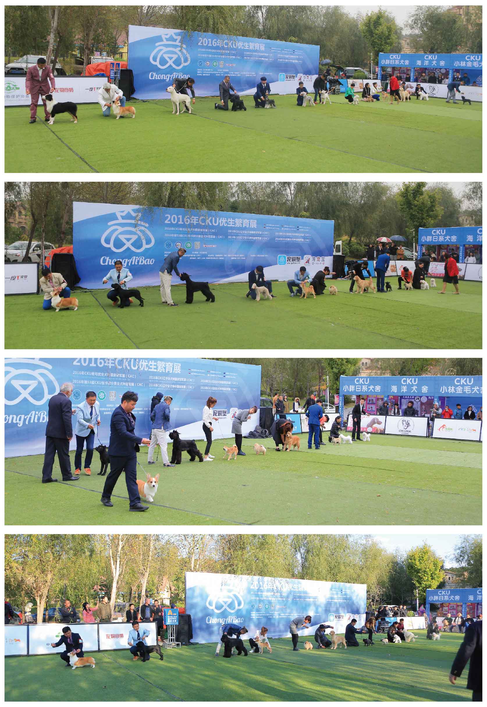 %e5%ae%8c%e8%b3%bd-08