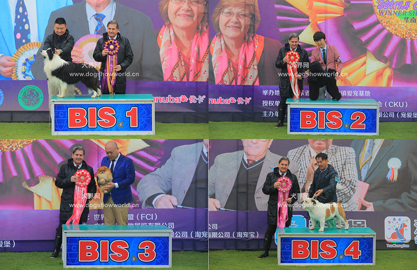 %e6%9c%aa%e6%a0%87%e9%a2%98-1