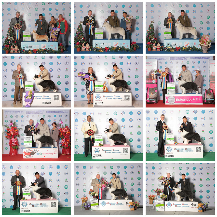 QQ图片20170122175012