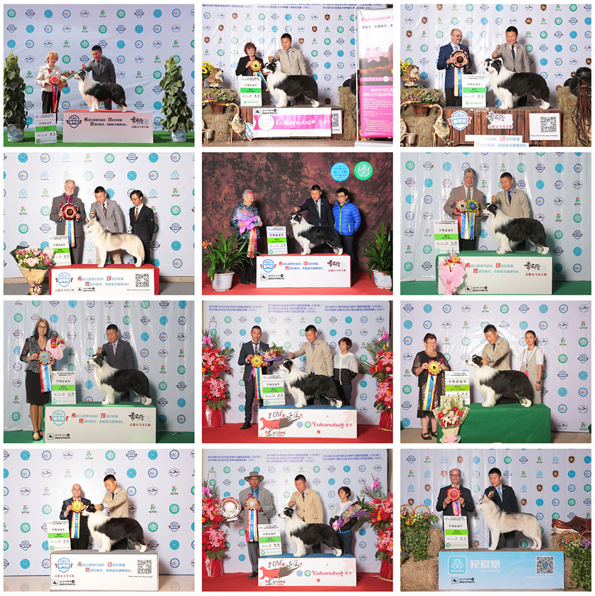 QQ图片20170122175029