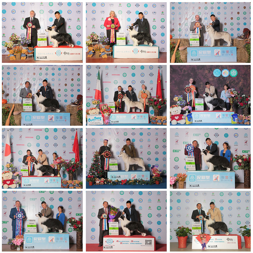 QQ图片20170122175104