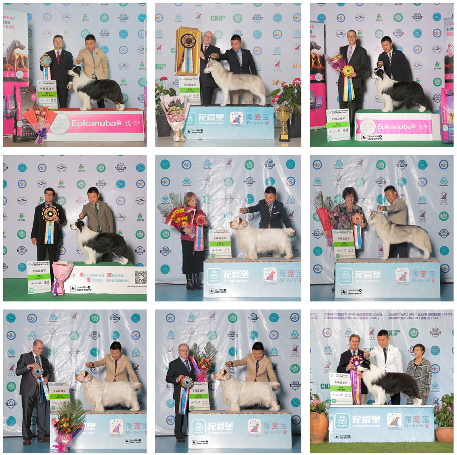 QQ图片20170122175137