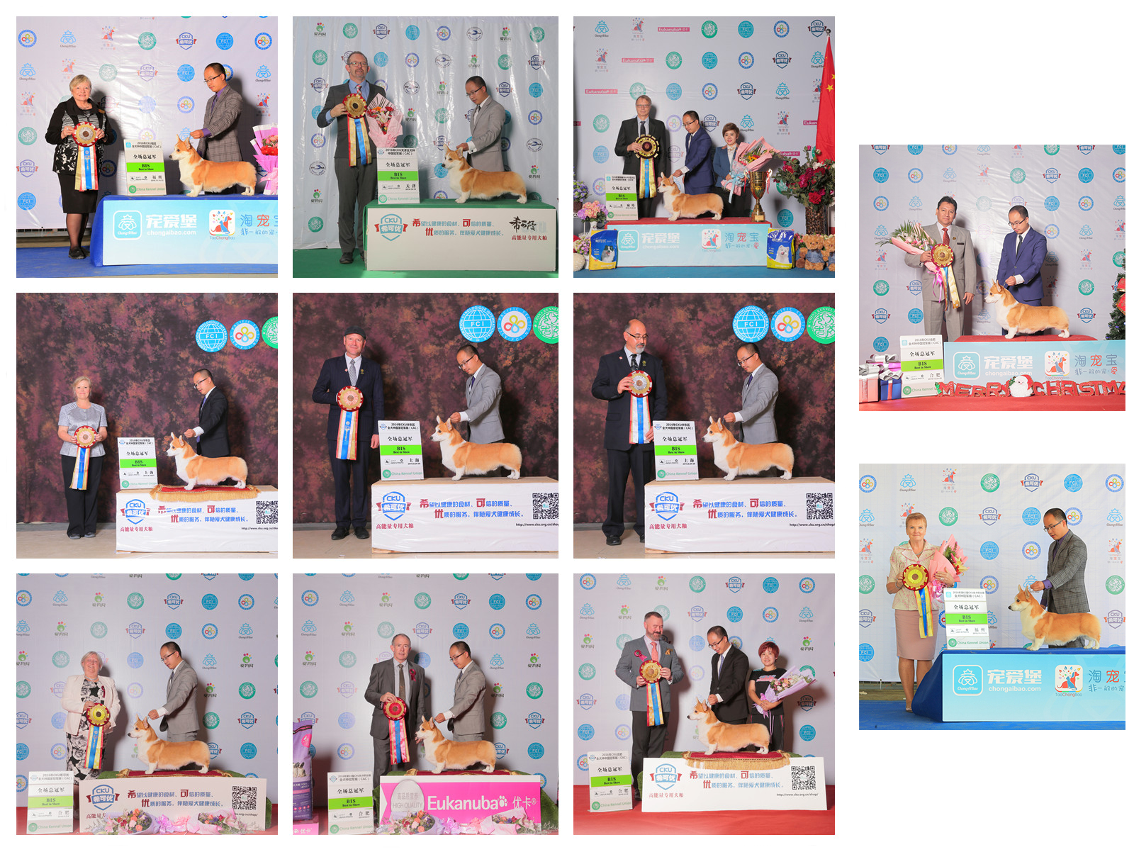 QQ图片20170122180853