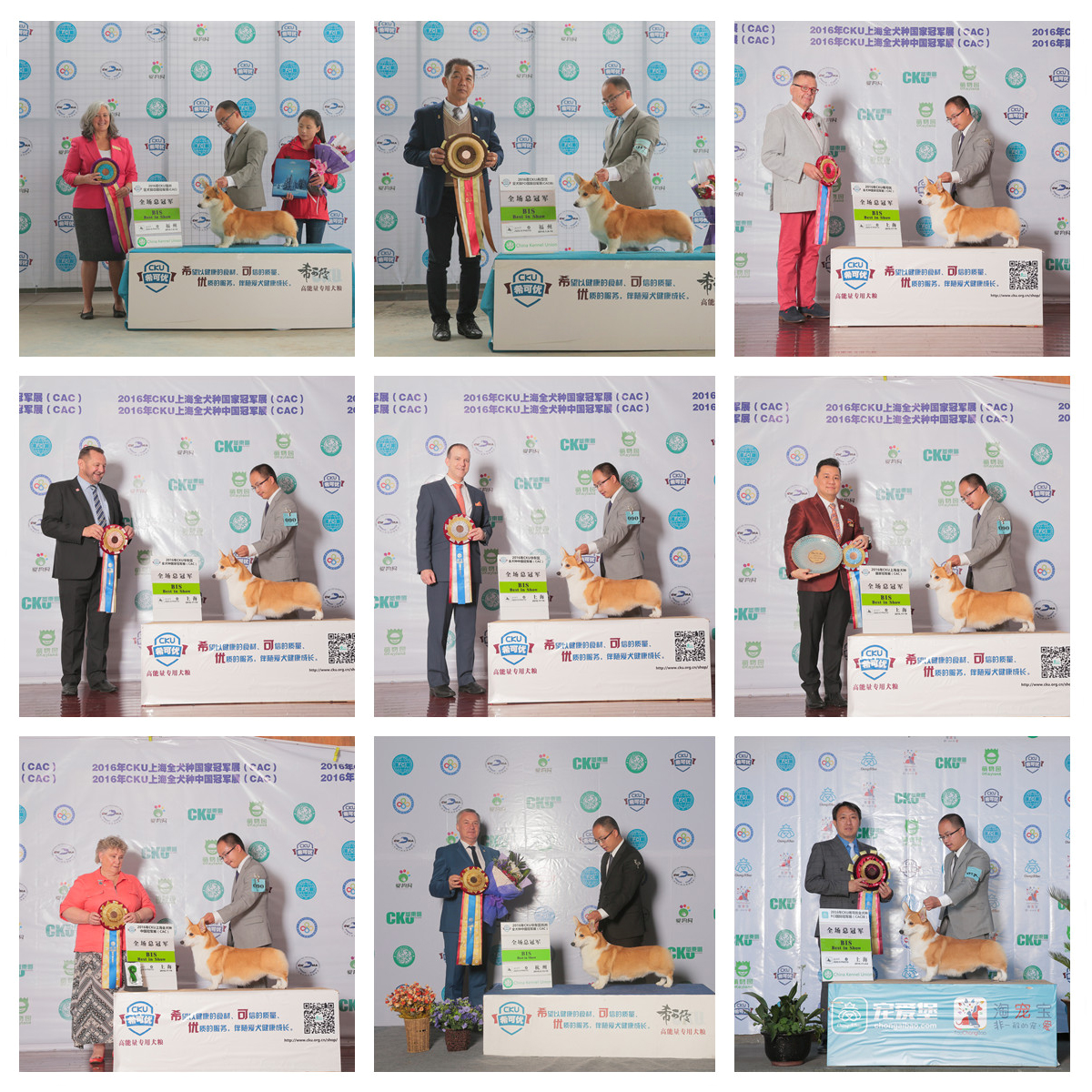 QQ图片20170122180916