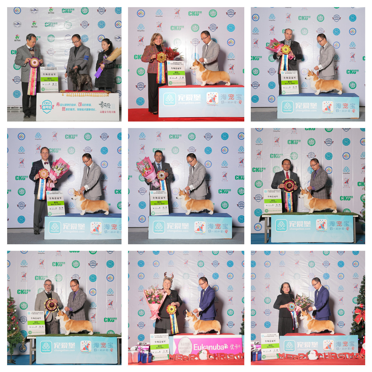 QQ图片20170122180931