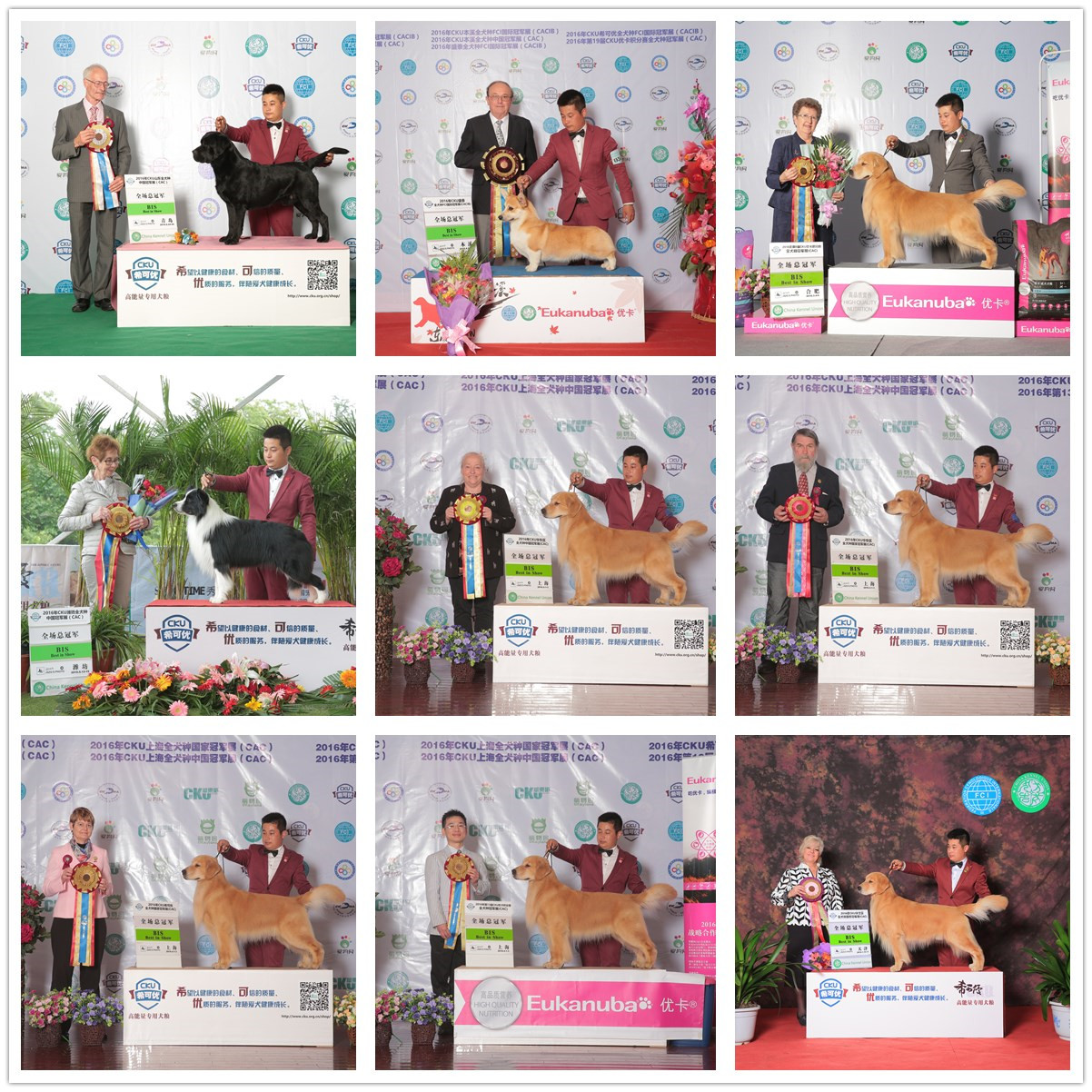 QQ图片20170122182543