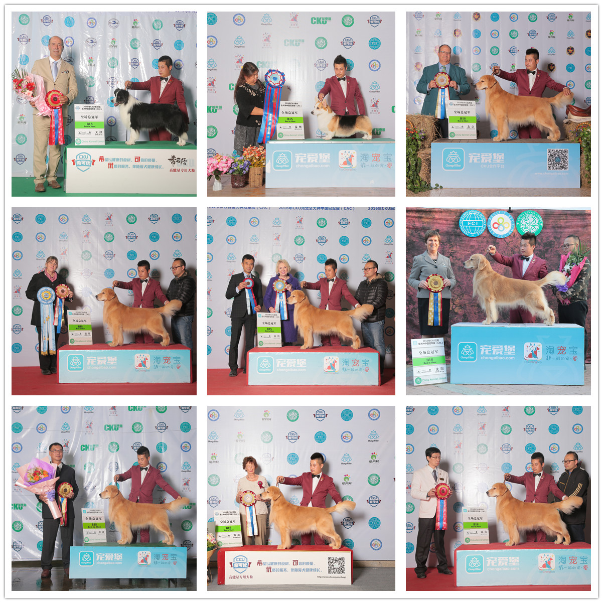 QQ图片20170122182602