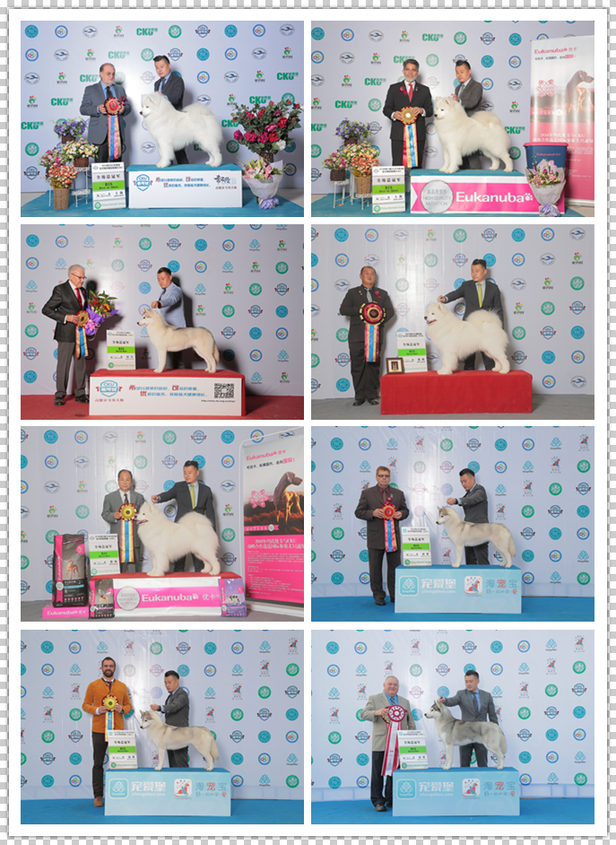 QQ图片20170122182840