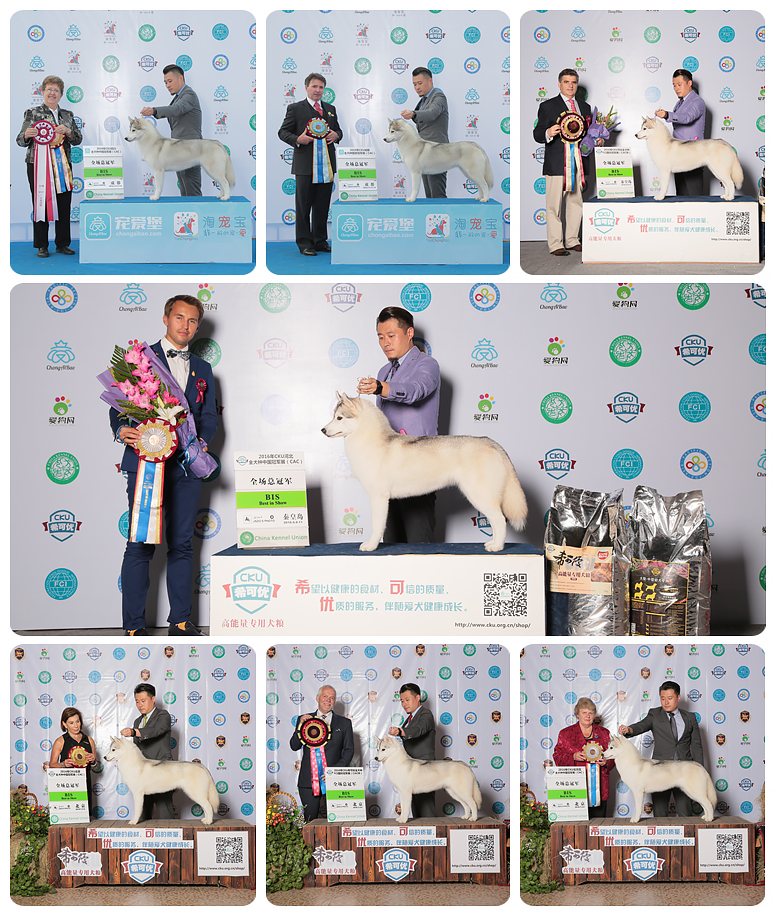 QQ图片20170122182940