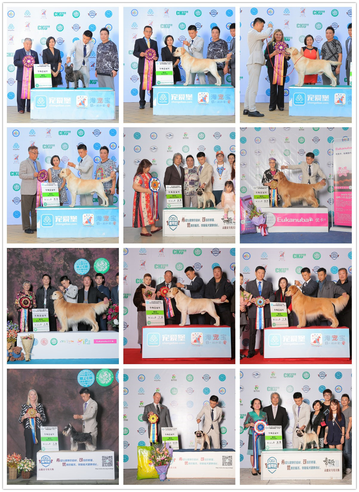 QQ图片20170122183828