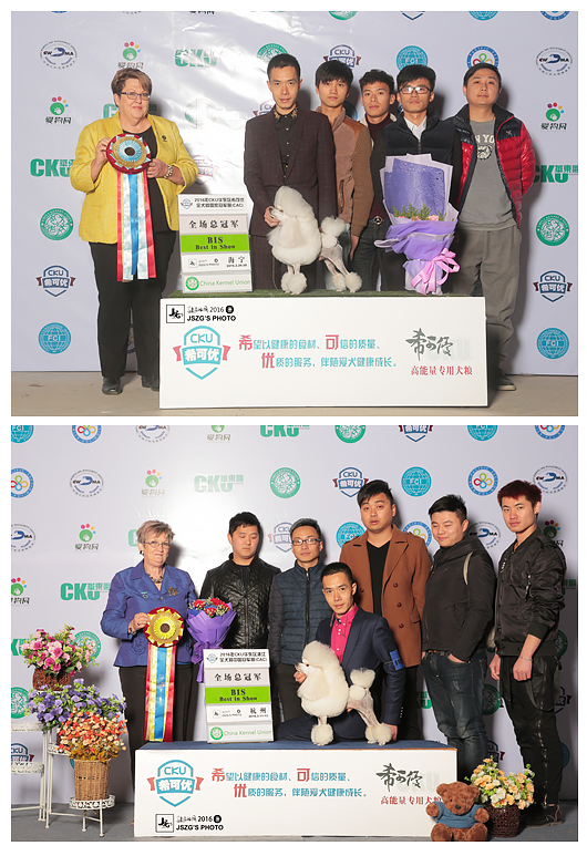 QQ图片20170122184216