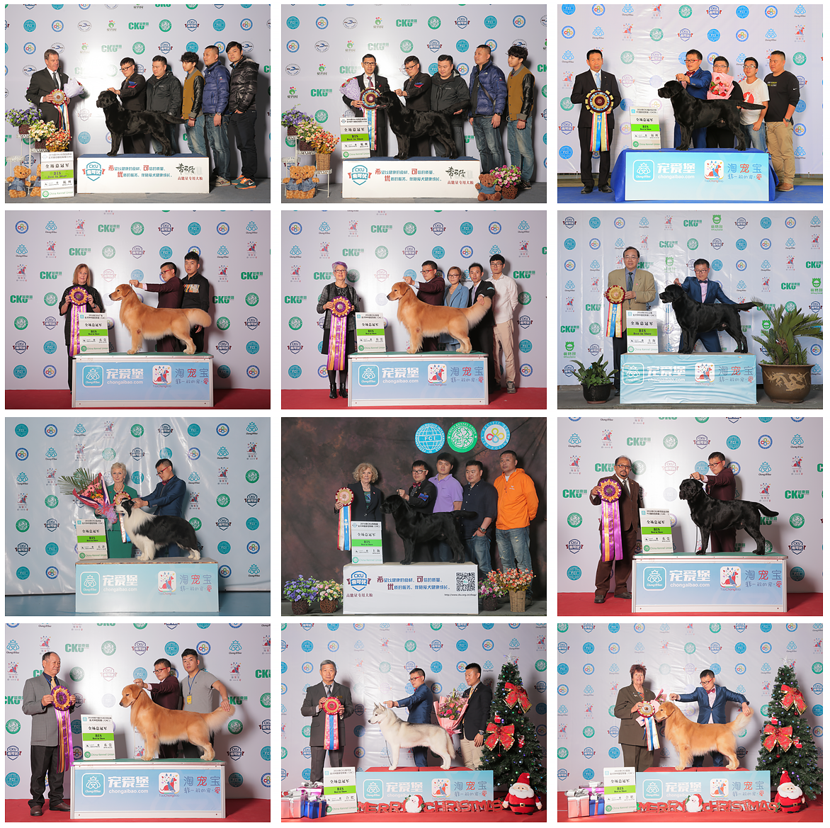 QQ图片20170122184425