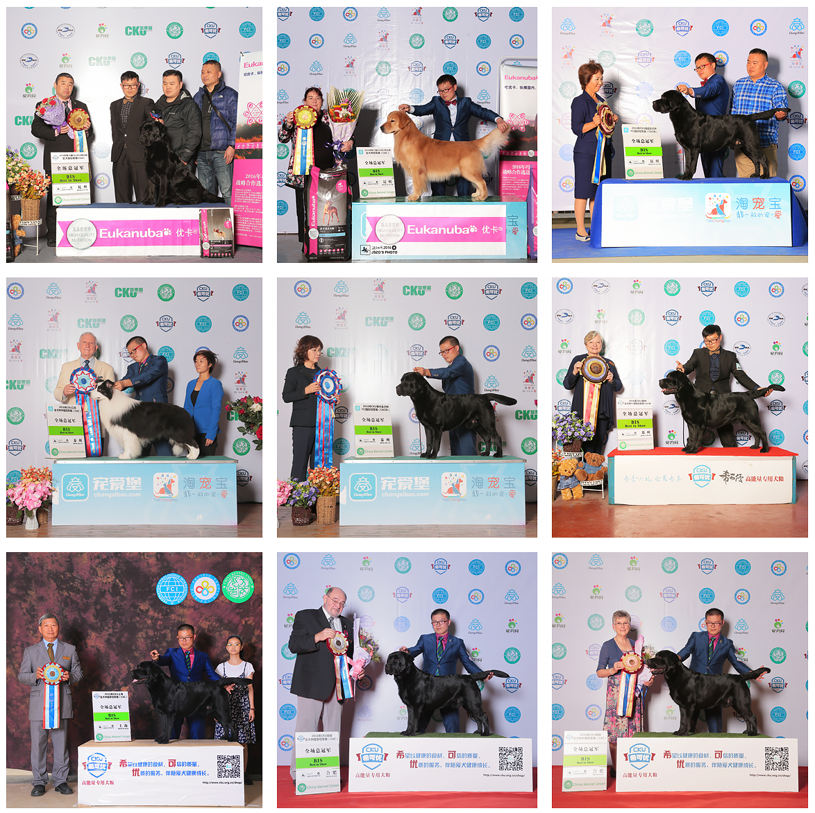 QQ图片20170122184509