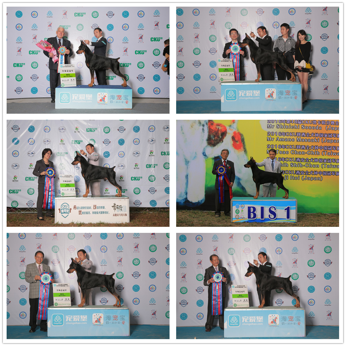 QQ图片20170122184643