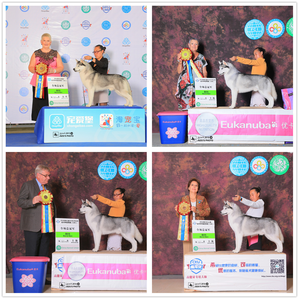 QQ图片20170122184858