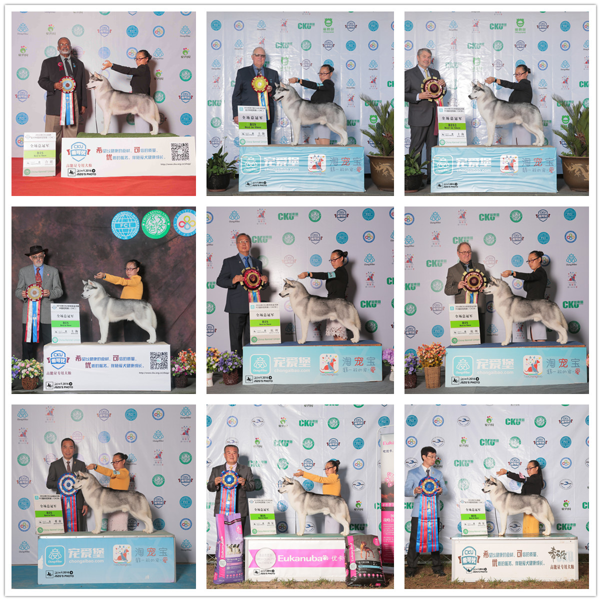 QQ图片20170122184922