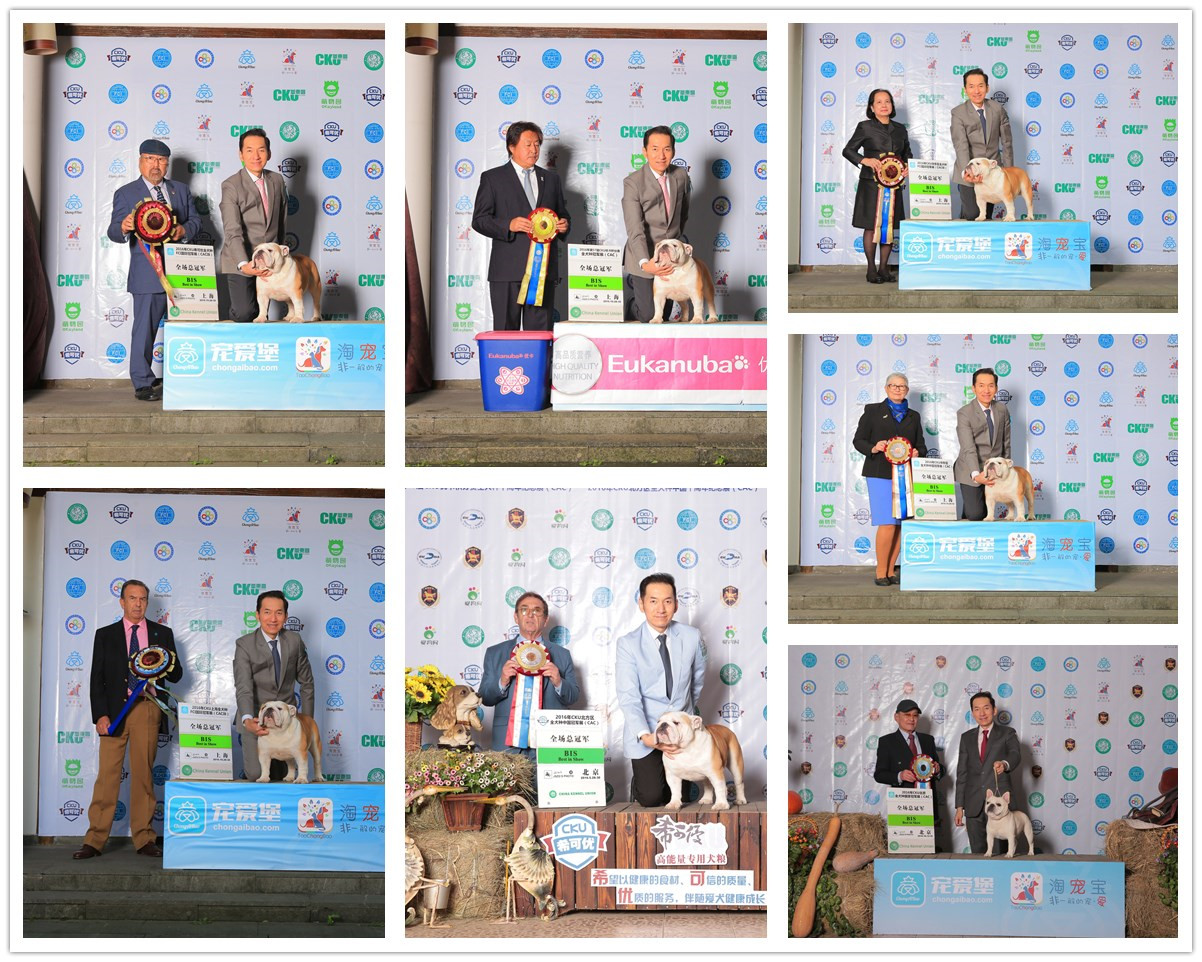 QQ图片20170122185333