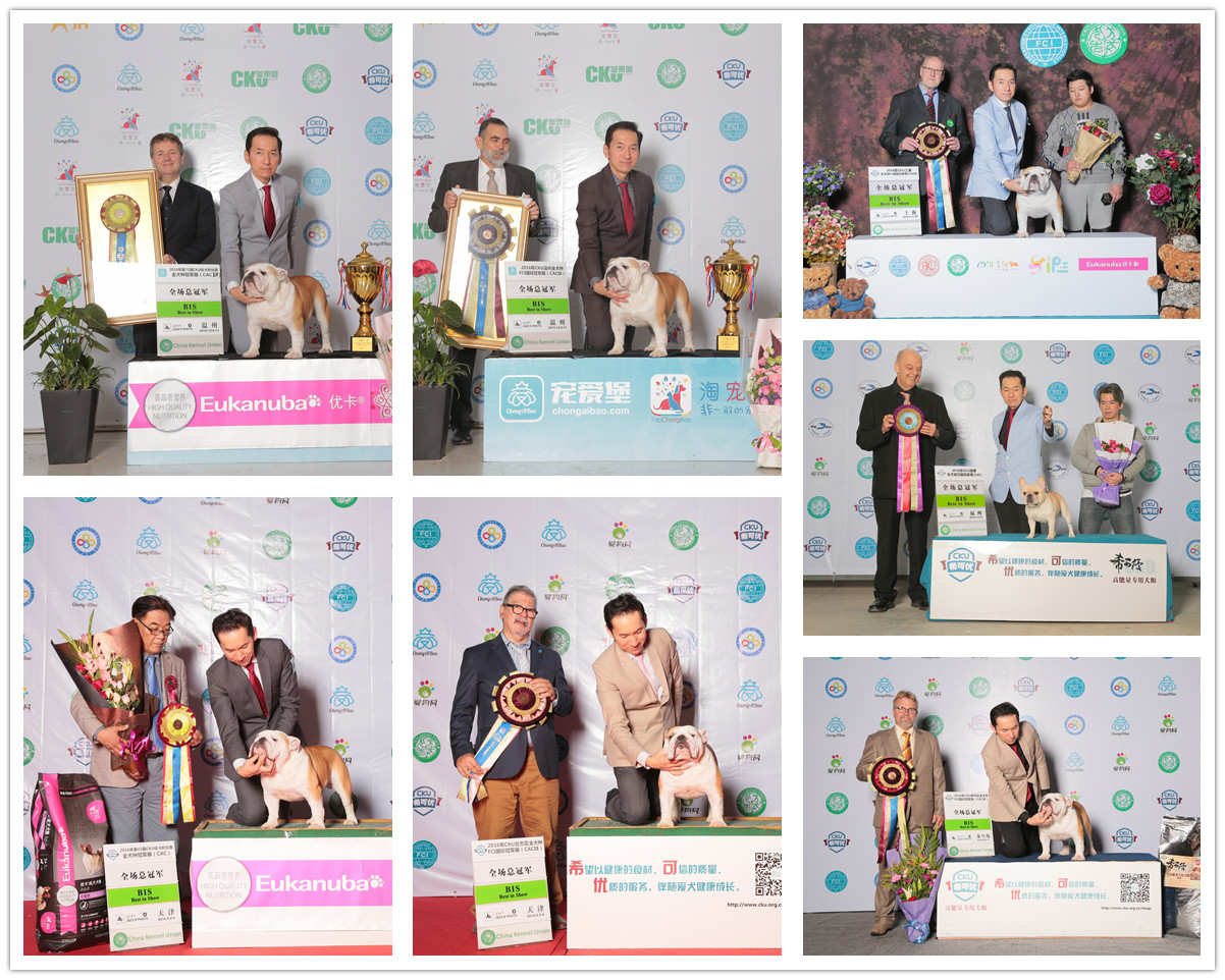 QQ图片20170122185341