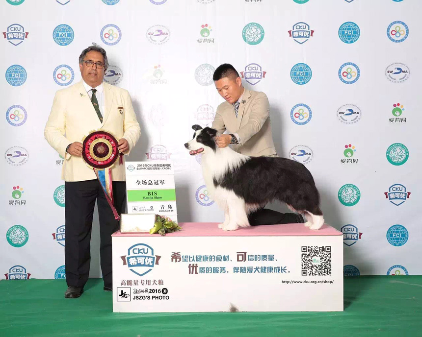 QQ图片20170122185922