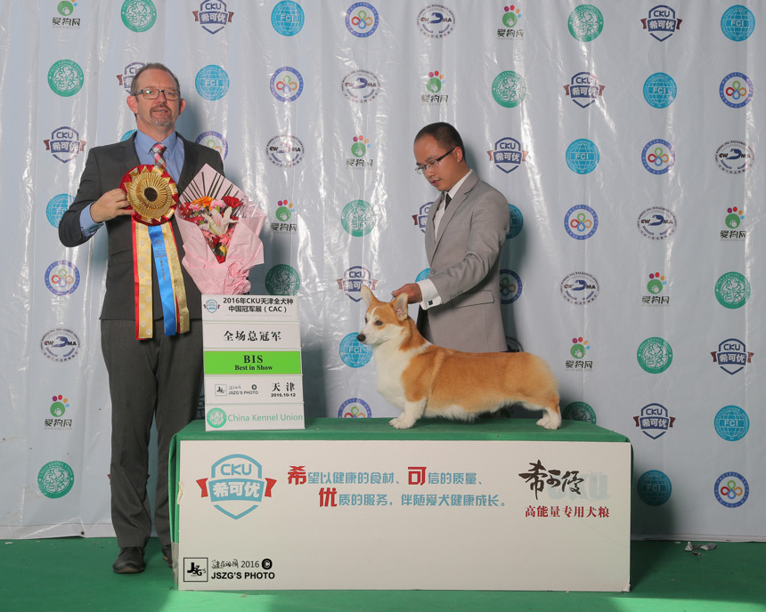 QQ图片20170122190224