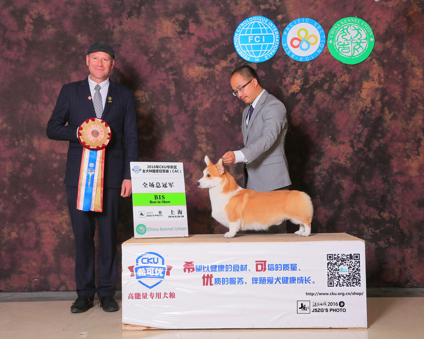 QQ图片20170122190315