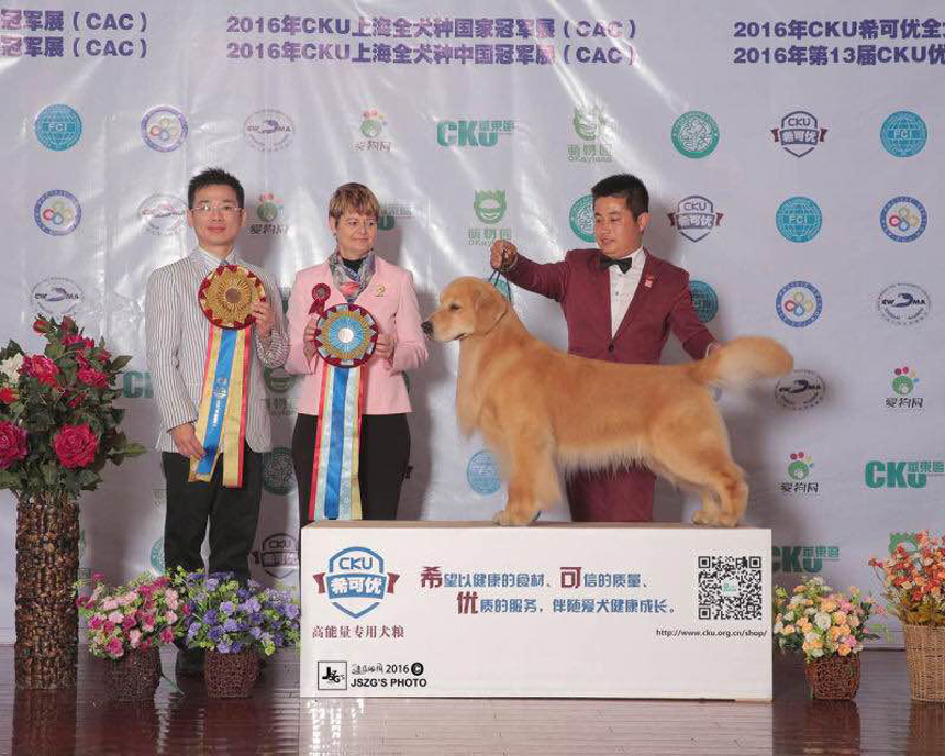 QQ图片20170122190533