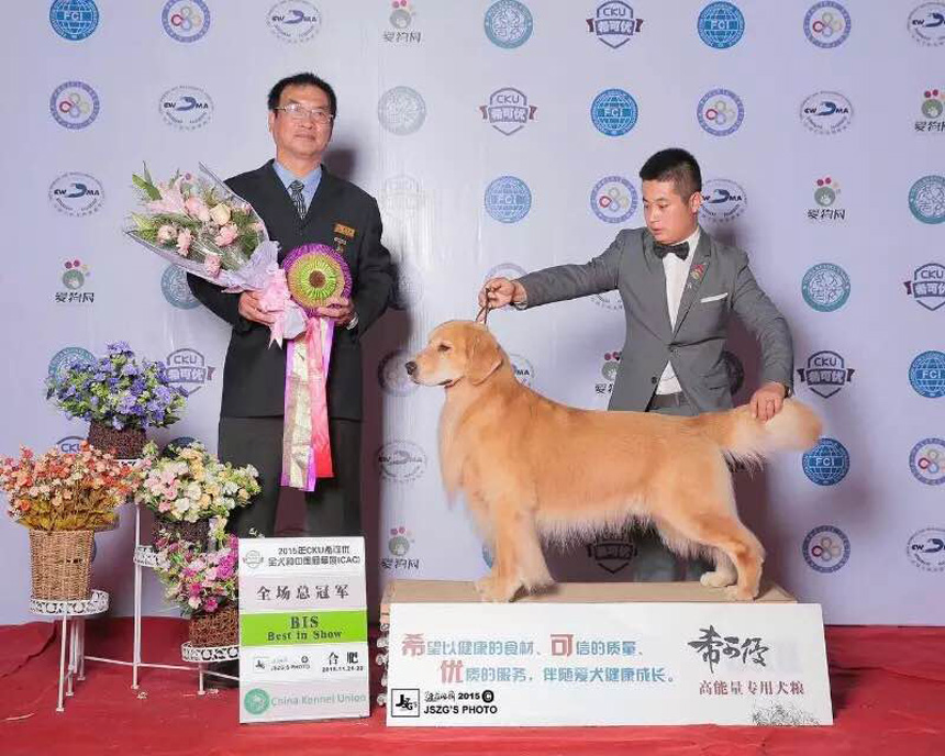 QQ图片20170122190539