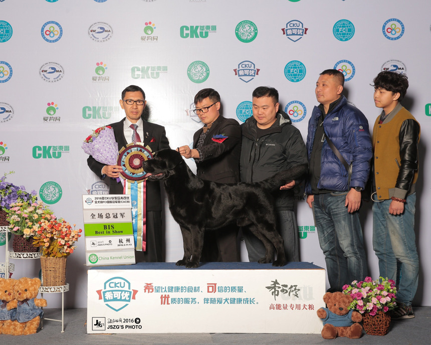 QQ图片20170122192141