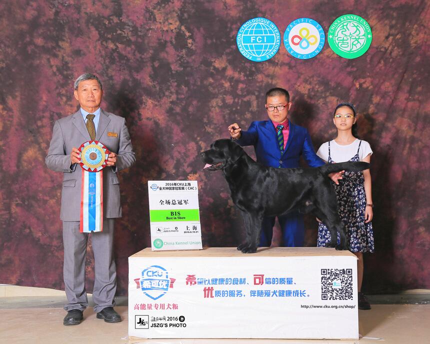 QQ图片20170122192300