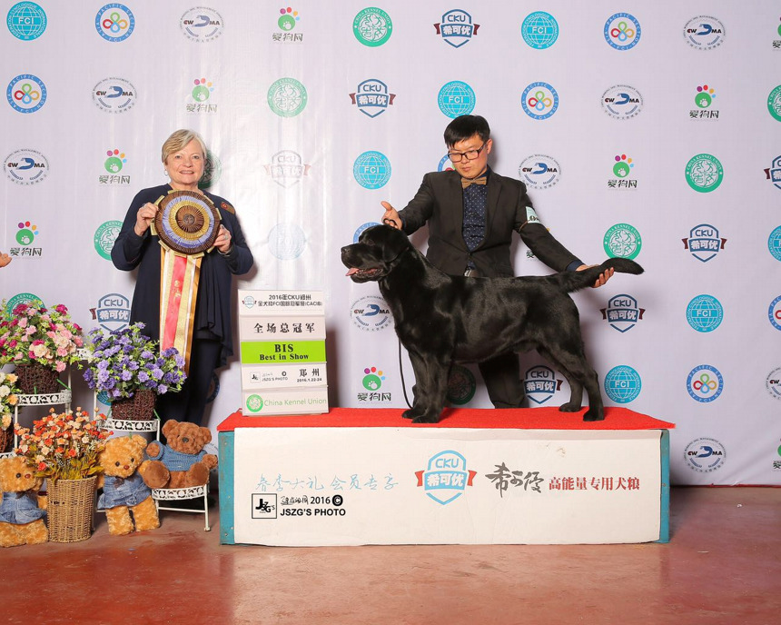 QQ图片20170122192328