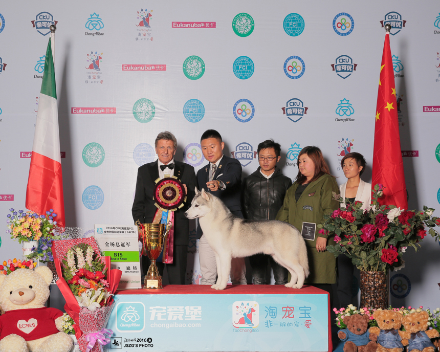 QQ图片20170122192442