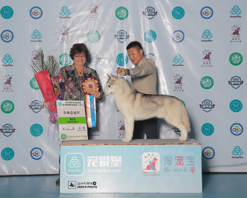 QQ图片20170122192536