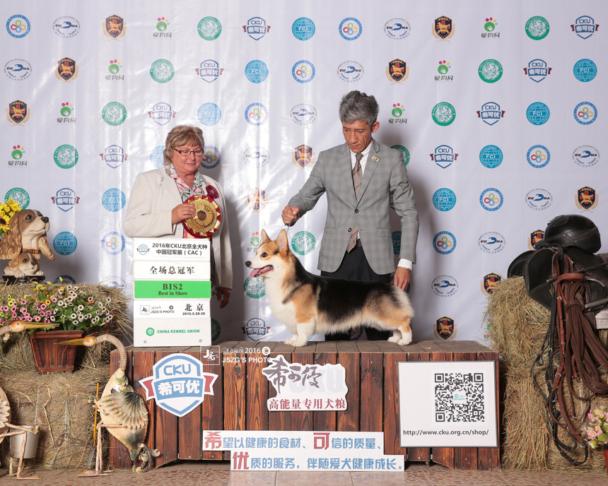 QQ图片20170122192818