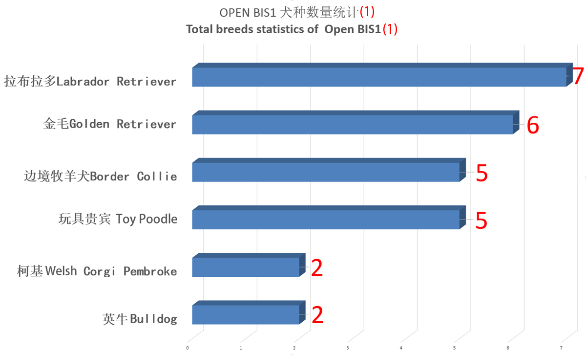 OPEN BIS1犬种数量统计1