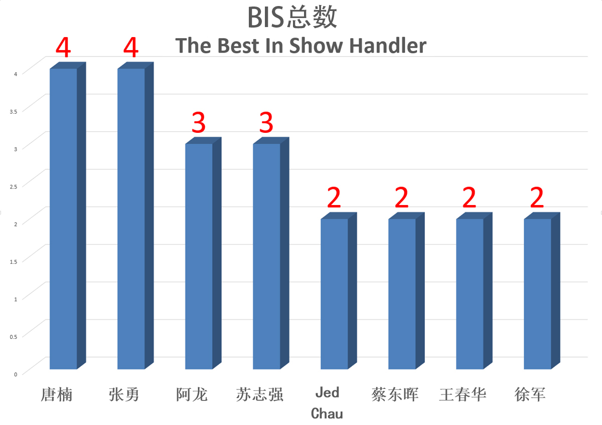 指导手OPEN BIS1统计表
