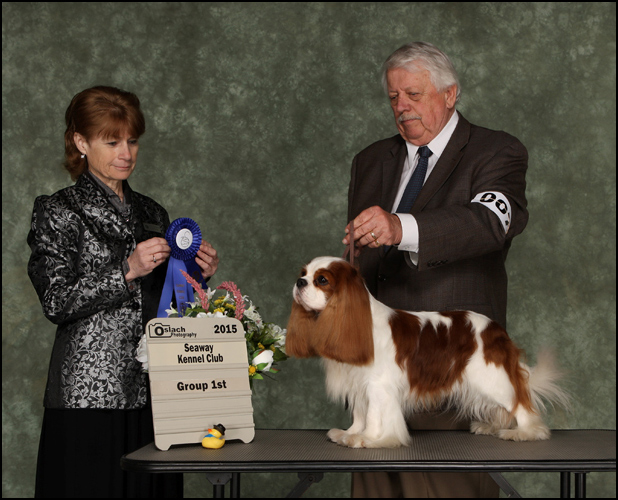 10.GCh.Miletree Carnival