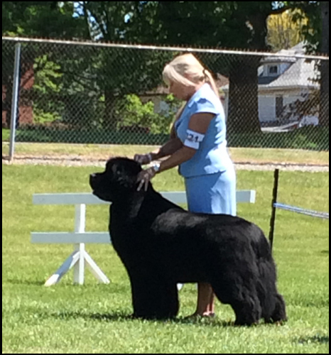 5.GCh.Summerfords What Ever