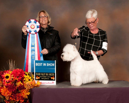 6.GCh.flashlight Thunder V.Paradise Of Wind