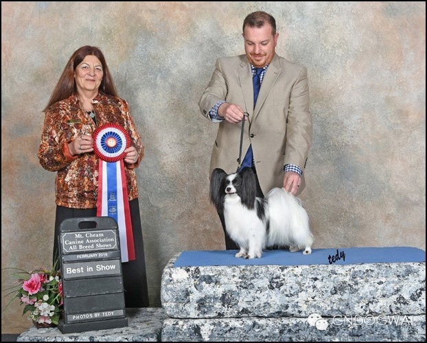 7.GCh.Salatino La Dame Sans Camelia