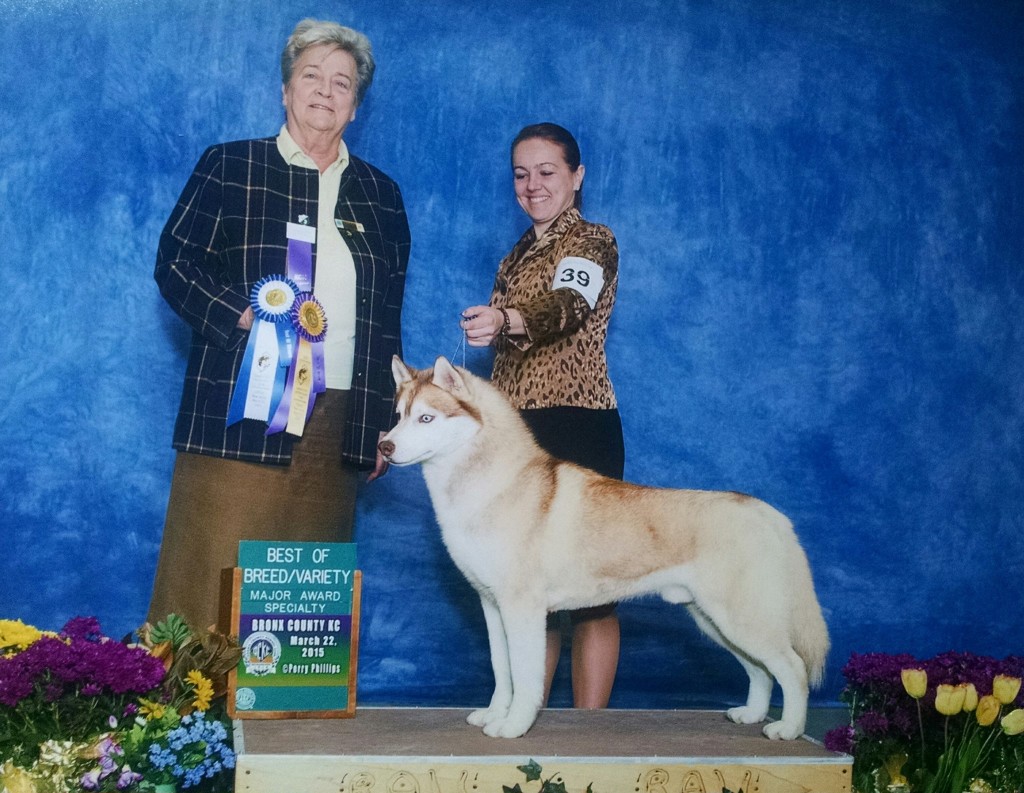 8.GCh.Unicornhill Story Telling