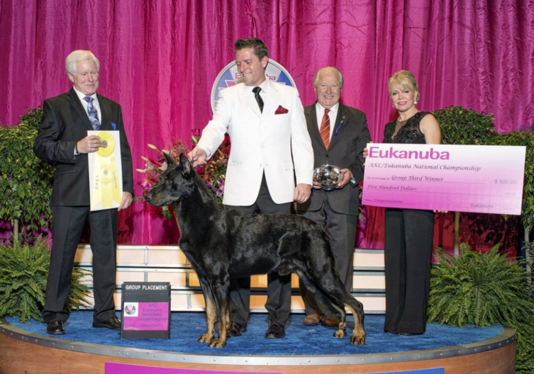 9.GChEx Lorricbrook Albelarm Believer CGN