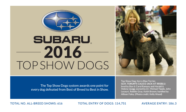 QQ截图20170615142307